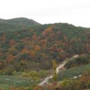 참사랑농원 이미지