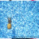 피자스쿨 양산점 이미지