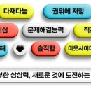 엔티피 이미지