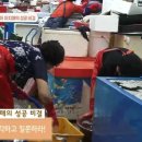 신화곰장어 이미지