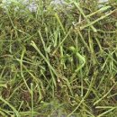 (주)한아름농산물 이미지