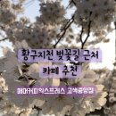 매머드익스프레스고색 이미지