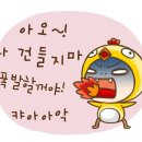 코코빈스 이미지