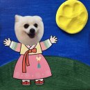 꼬순내유치원 이미지