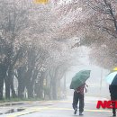 송성1리마을회관 이미지