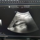 88플러스내과의원 이미지