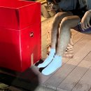 눈다리 노래방 이미지