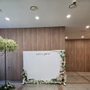 교우 | 웨드유 웨딩 계약 후기(고려대 교우회관 솔직후기)