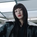 보브;지컷 이미지