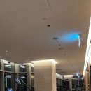 팰리스약국 이미지