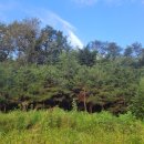 여주-1035 이미지