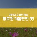 이천시 장호원 가볼만한곳 HOT 6!