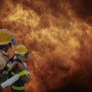 용봉동 20-8 이미지