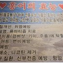 남광주상회 네이버블로그
