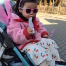 베베드피노원주점 이미지