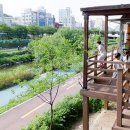 대중 작은도서관 이미지