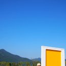 황산공원 배구장 | 경남 양산 황산공원 댑싸리, 가을나들이와 인생샷 포인트로 추천!