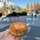 과천 행복 빵집 선물하기 좋은 찹쌀떡 행복빵 월병 후기