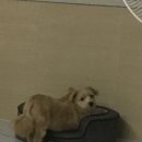 전부다모두다