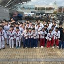 리틀태권도장 이미지