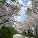 이화수전통육개장(평택시청점) 이미지