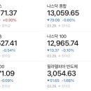 다우플러스