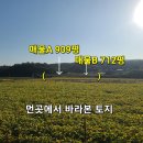 홍성/ 싸고 넓고 평평한 계획관리지역토지 909평/ 1억원 이미지