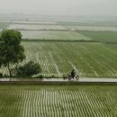 논밭