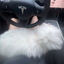 율동물의료센터 | 꼬똥드툴레아 강아지 양말먹음..빼는영상까지24시간동물병원 율동물의료센터비용 가격실화야..?썰풀기…