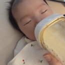 무선길 | 나리몽 무선 분유쉐이커 내돈내산 후기