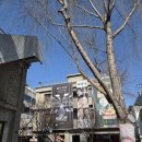 아차산로R | 성수 나들이 ❤️ (ft. 아모레성수,온그리디언츠, 올영,쿠팡 R.LUX)