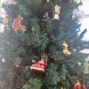 [25-3] 카페베이커리 | 남양주 대형카페 애견동반가능 솔몽 베이커리 재방문후기