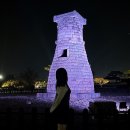 동궁과월지 주차장 화장실 | 경주 가볼 만한 곳 경주 야경 명소 첨성대, 동궁과 월지, 월정교 가본 후기 (입장료, 주차장)