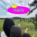 집의 기록 part1 이미지