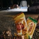 서울근교 양평 캠핑장 가족 차박캠핑 엘모로캠핑파크 부엉이존 후기