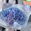 배스킨라빈스 부산신호