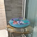 비에노즈 이미지