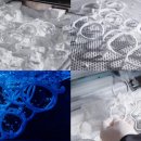 초록안경 이미지