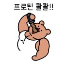 지비짐 갈마점 네이버블로그