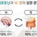 꼭꼭씹어라