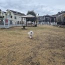 글램독 경주 A동 이미지