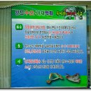 완도수산야채막회 이미지