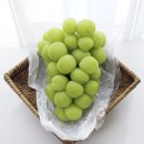 서진농장2 이미지