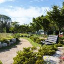 신선로 447번길 이미지