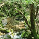 25년 8월 10일 일요일‘강원도 태백 해바라기축제 &amp; 한강 발원지 검룡소’ 예약해주세요😉 이미지