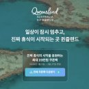 주식회사 하운드호텔 | 브리즈번 여행 3박 4일 일정표 코스 추천 / 골드코스트 당일치기, 모튼 아일랜드, 무게라 호수