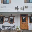 마리856 이미지