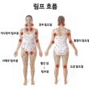 니술내술 이미지