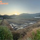 주막뜸천 이미지