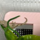(주)베베블랑 이미지